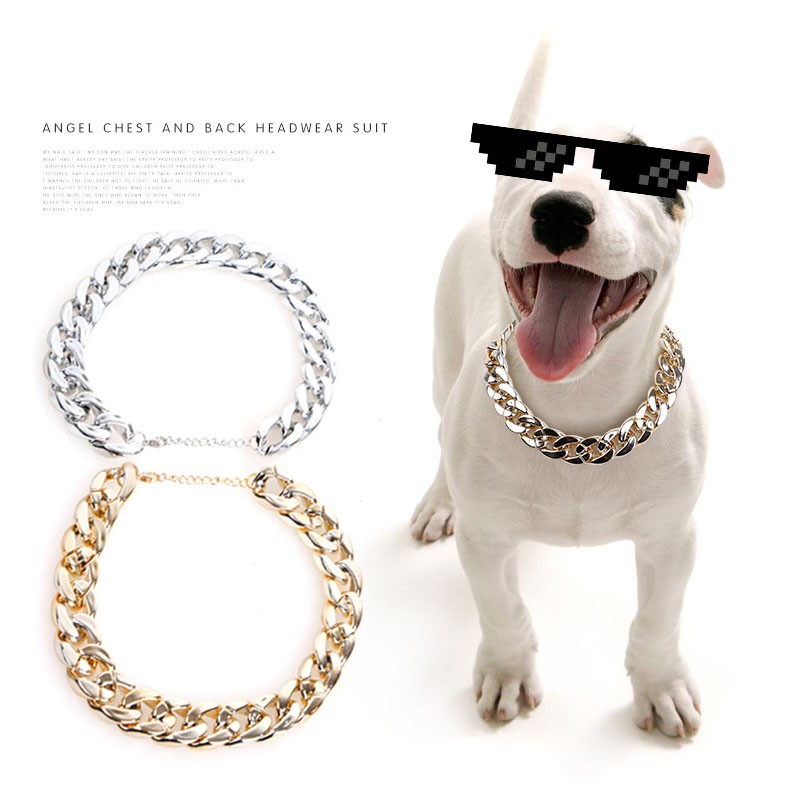 chain dog