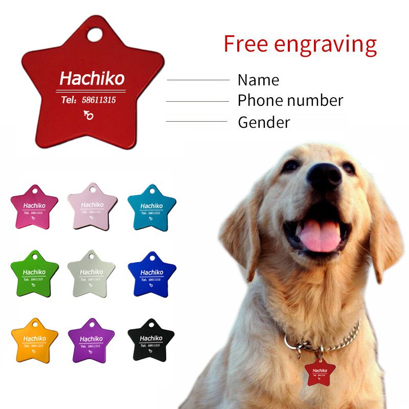dog collars customized name