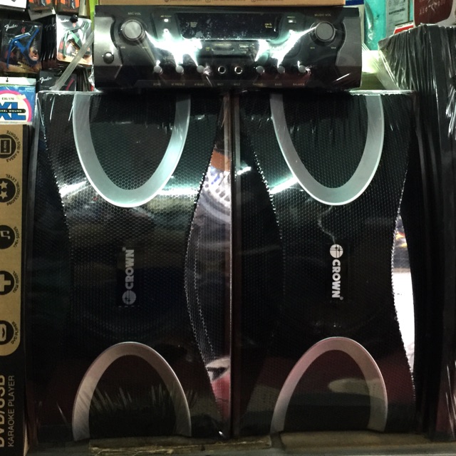 crown karaoke speaker