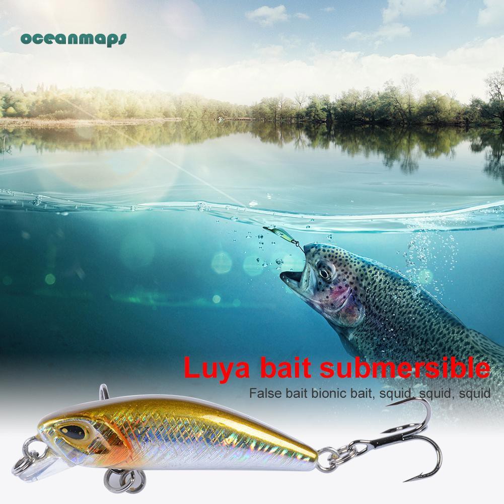 good fishing bait