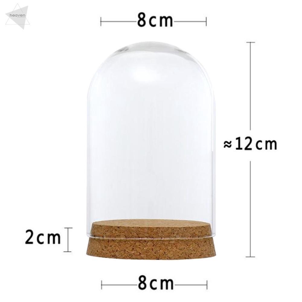 Dome Plant Glass Cover For Flower Succulent Plants Table | Shopee