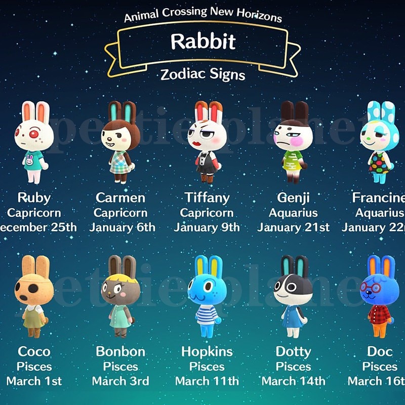 Rabbit Set Animal Crossing Amiibo Card New Horizons For Switch Coco Chrissy  Carmen Ruby Genji Snake | Shopee Philippines
