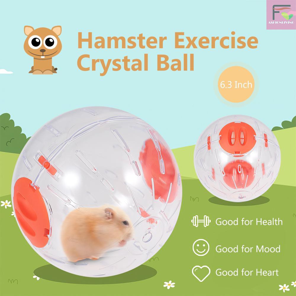 F&L Hamster Exercise Ball Hamster Crystal Ball 6.3 Inch Clear Hamster ...