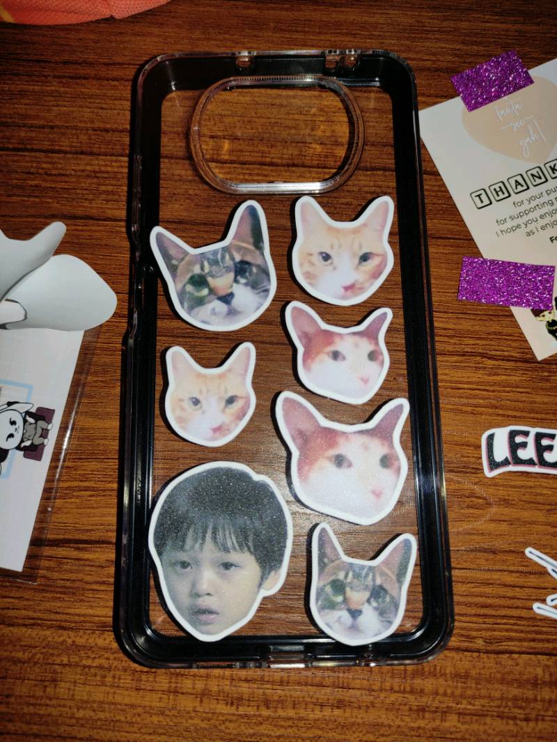 Stray Kids Lee Know's Cat Waterproof Vinyl Stickers | Shopee Philippines