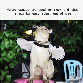 WeeH Pet Halloween Costume Cosplay Angel Devil Black White Wing for Dog Cat Rabbit Piggy - Funny Gift at Halloween Party Anime Theme Birthday Christmas #6