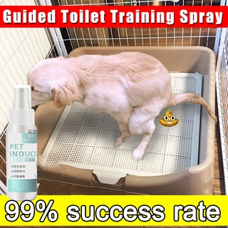 potty train spray for dogs 120ml Potty trainer dog Train your pet to Toilet in the right places