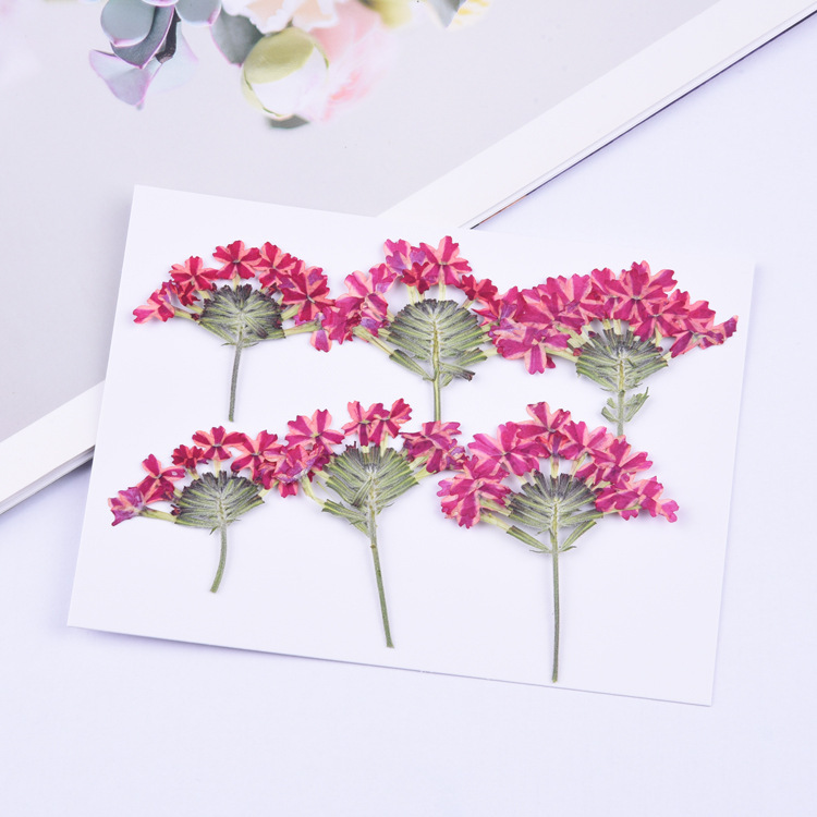 30pcs with branches beautiful cherry blossom embossed diy dried flower phone case sticker diy