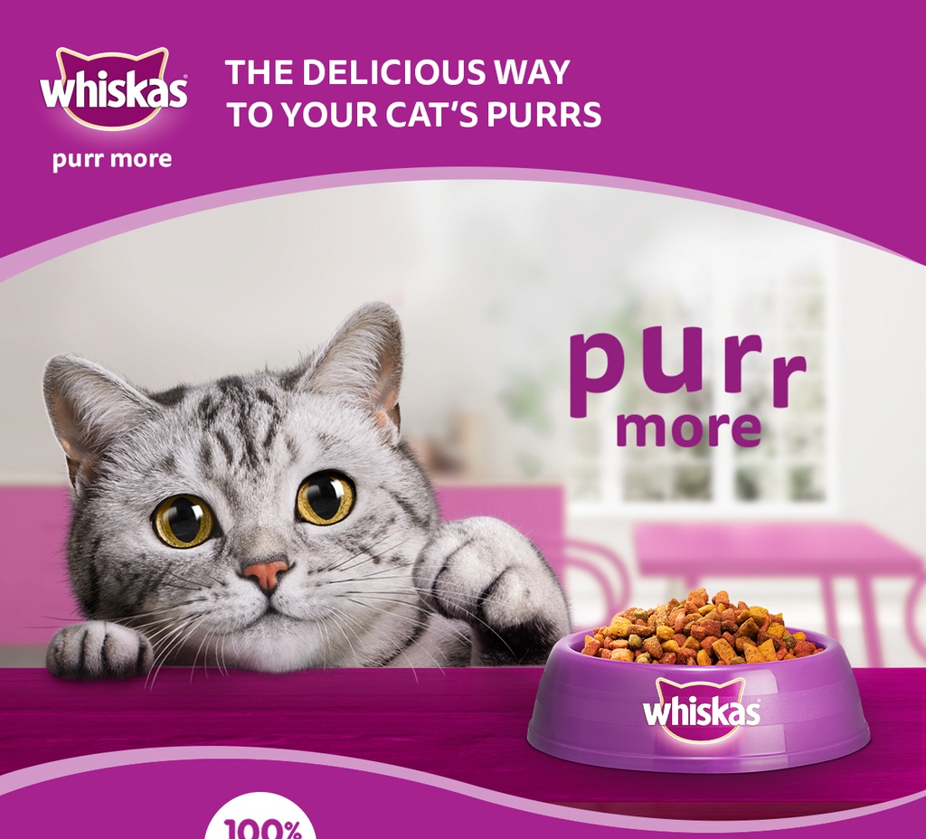 WHISKAS Dry Cat Food Cat Food Sack in Ocean Fish Flavor, 1.2kg. Pet