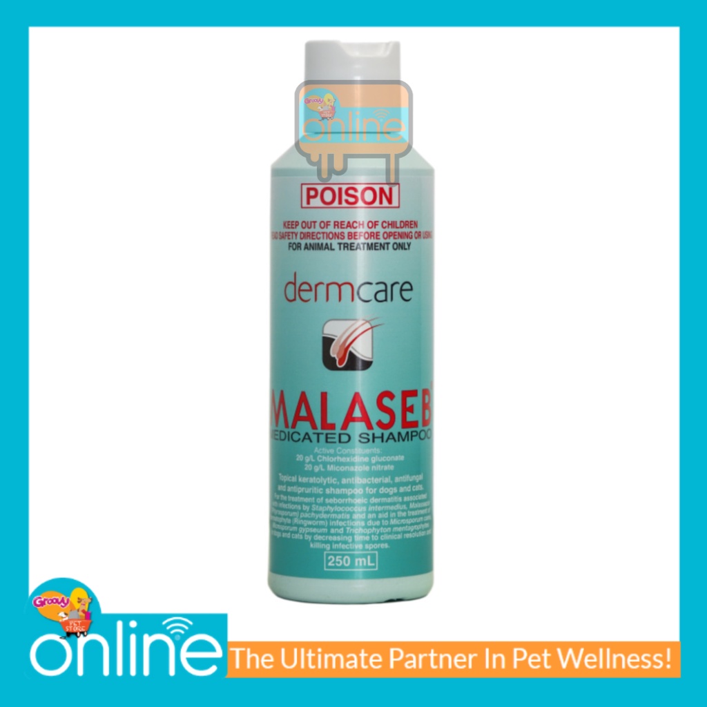 SAMPO Malaseb Pet ShampooMedicated Shampoo Dog & Cat Mushroom