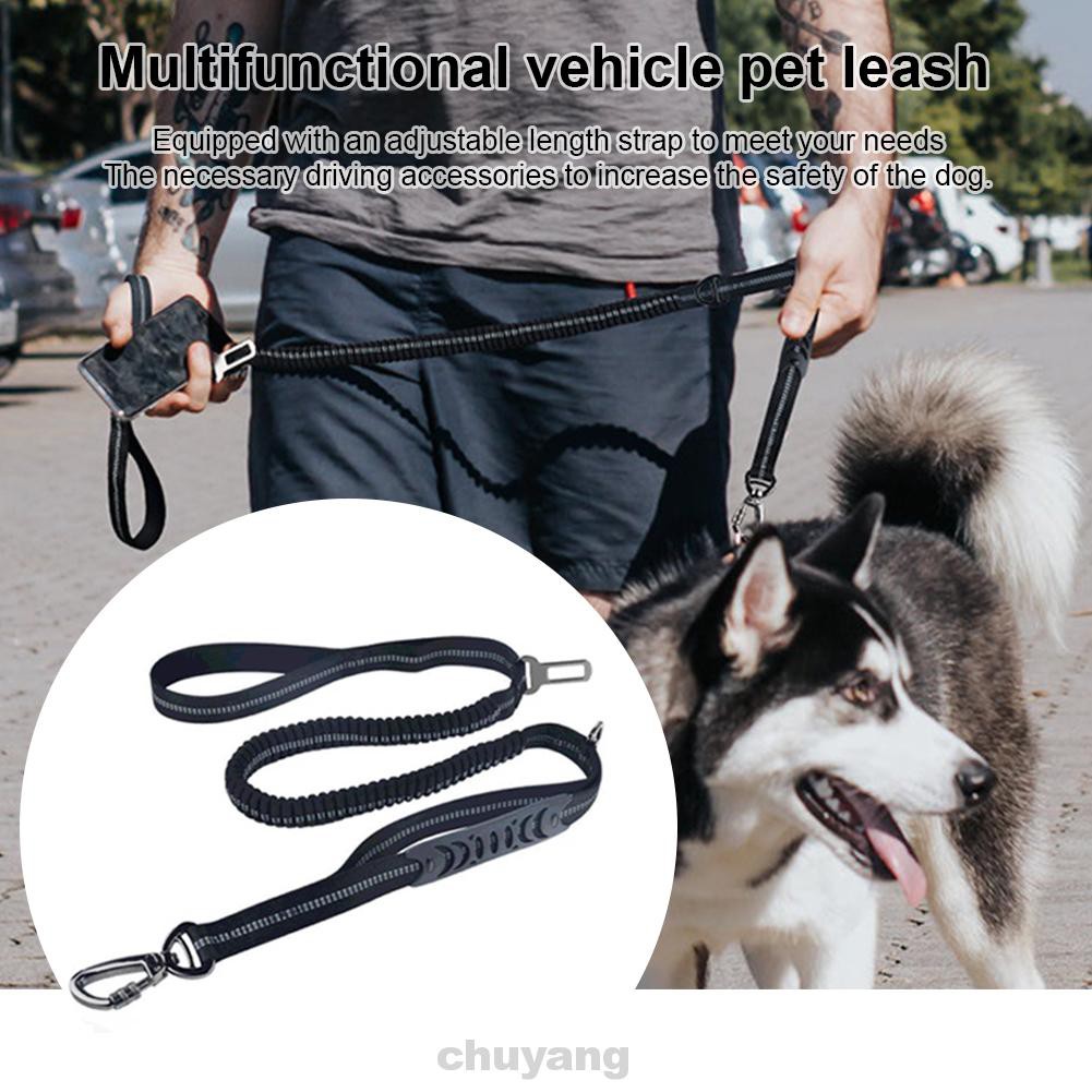 metal dog seat belt