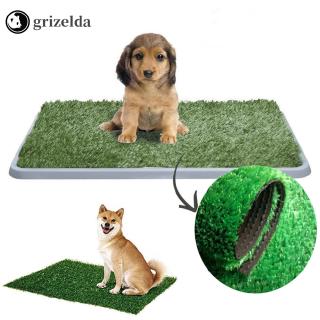 doggy grass pad