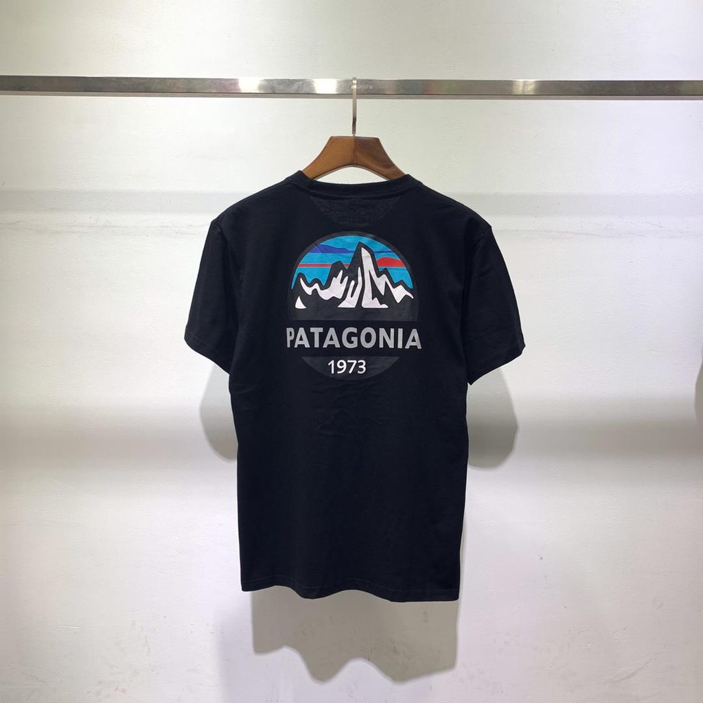 patagonia toddler shirt