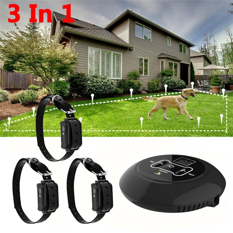 dog fence without wire