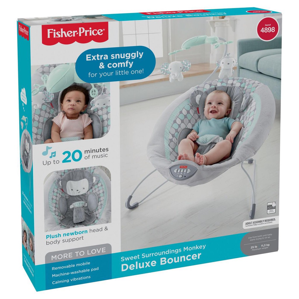 sweet surroundings deluxe bouncer