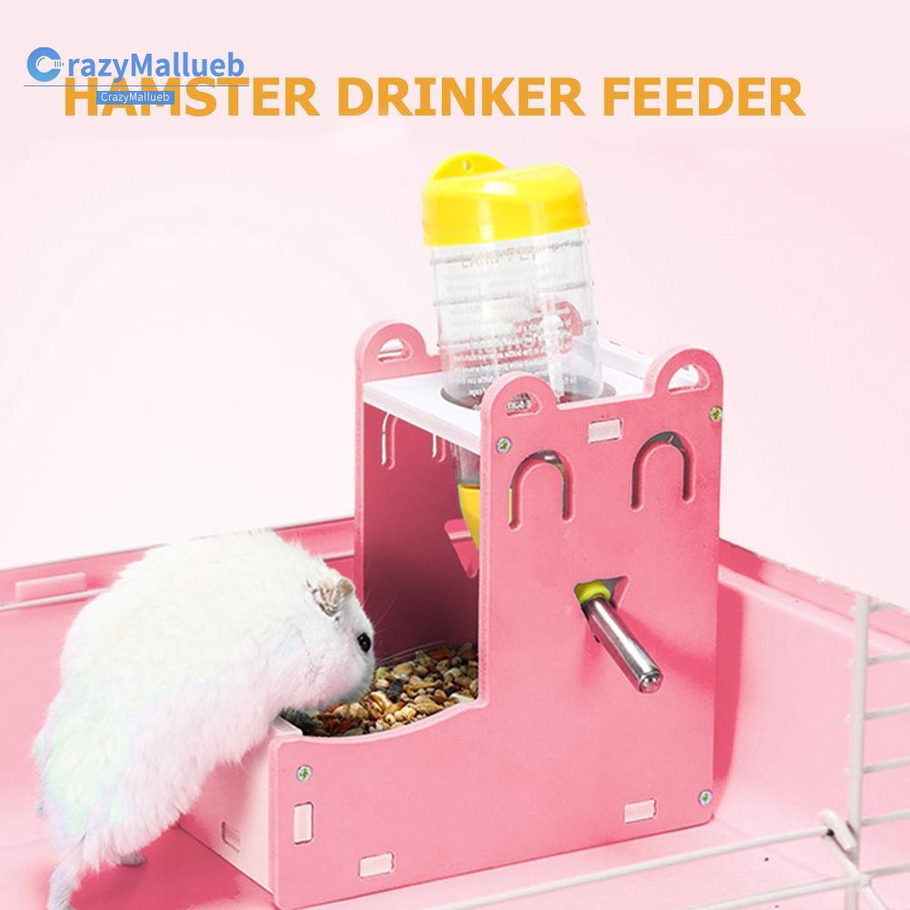 hamster water bottle pets at home