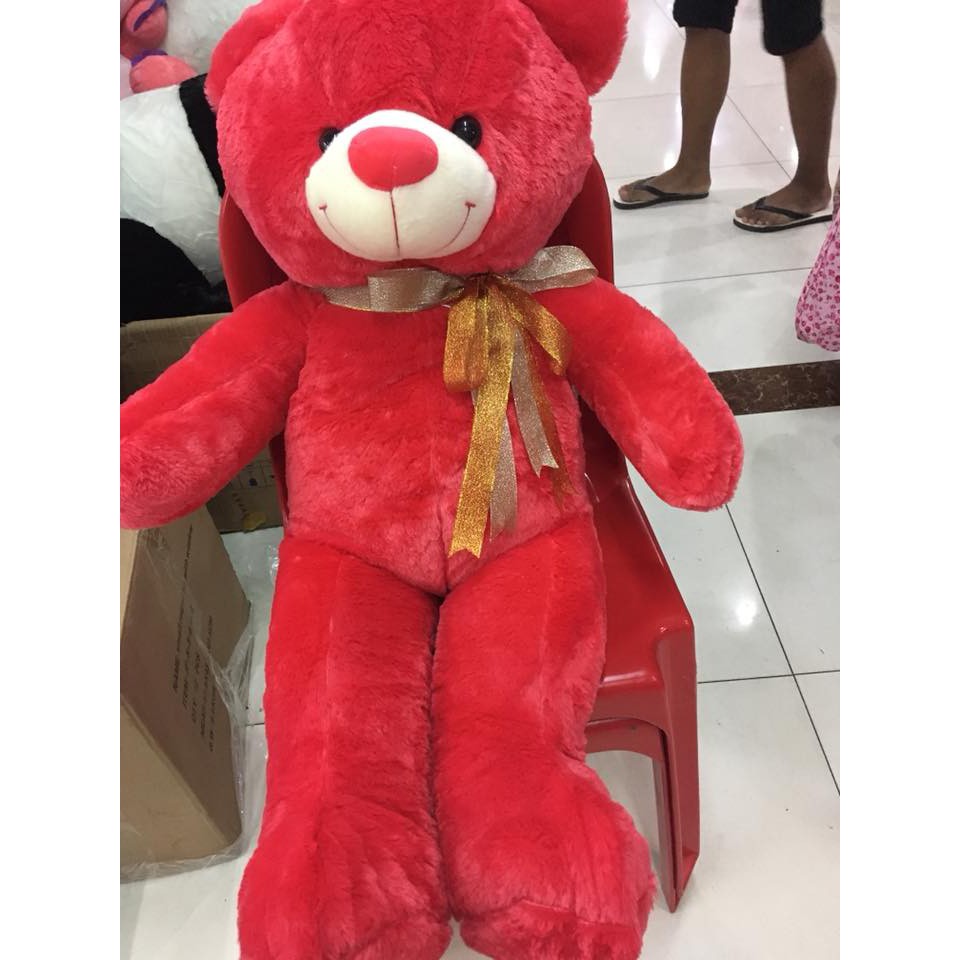 3ft teddy