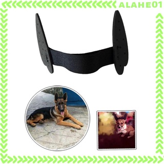 [alahe] Dog Ear Stand up Support Ear Care Tools Ear Sticker Erect Ear for Small Medium Large #6