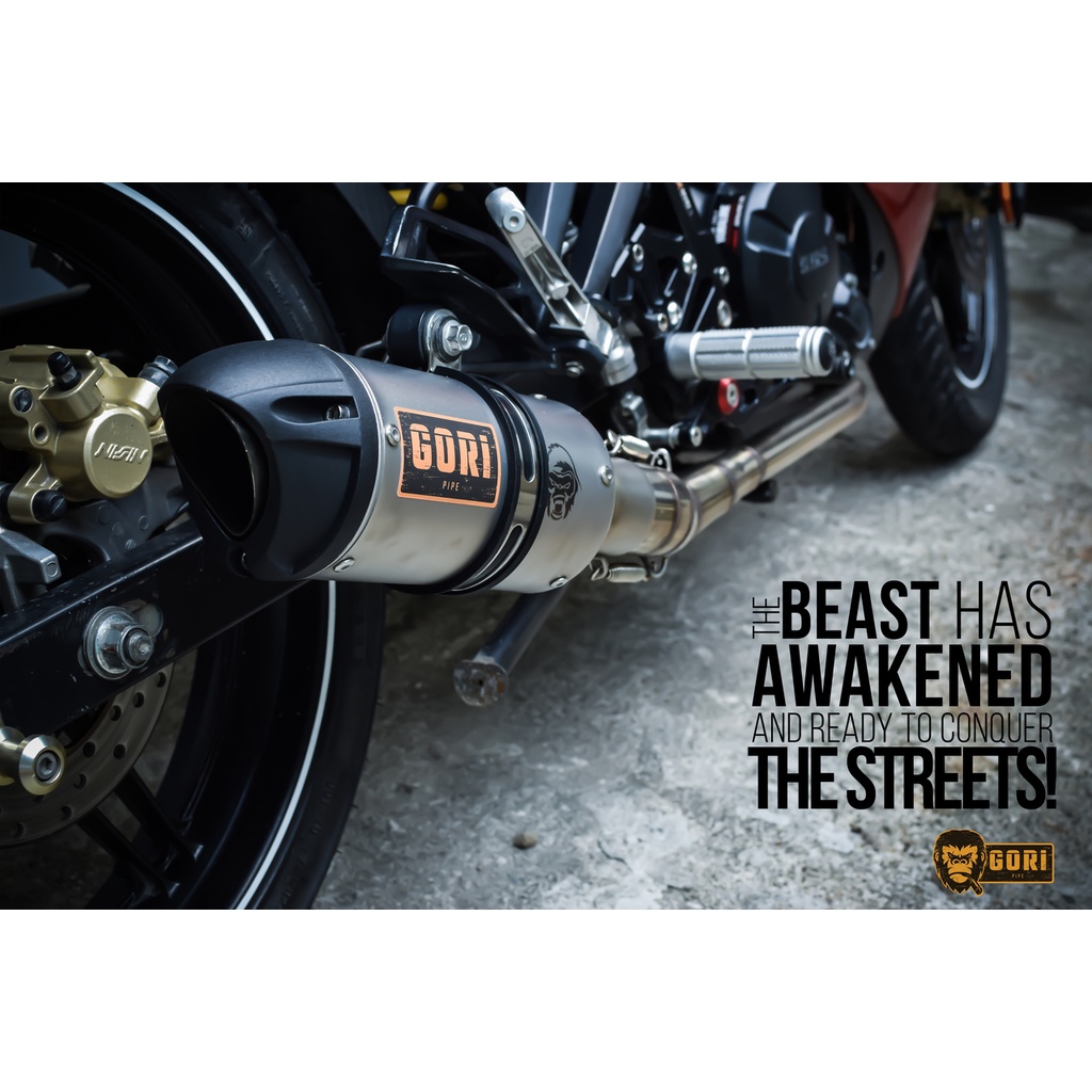 Gori Pipe (Classic) Full Exhaust Sytem Honda PCX 150/160 Shopee