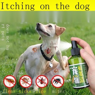 Ticks Anti Fleas [Safety not afraid of licking] Dog deworming medicine to remove fleas, lice and tic
