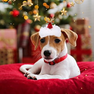 CR.z Pet Christmas Hat Dog Cat Headgear Funny Pet Cosplay Cap Decor Sequins Design