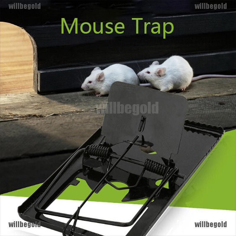 black plastic mouse trap