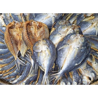 Solid Blue Dried Fish 500g