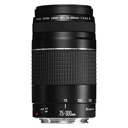 Canon Ef 75 300mm F 4 5 6 Iii Lens Shopee Philippines