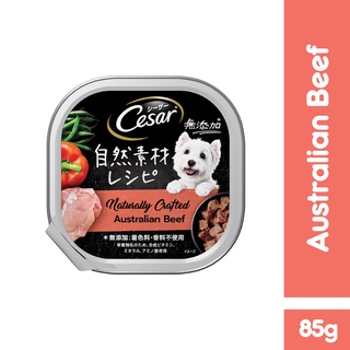 CESAR Natural Crafted Premium Dog Food in Australian Beef Flavor, 85g. Wet Dog Food for Adult Dogs