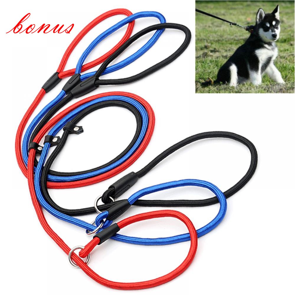 training dog leash