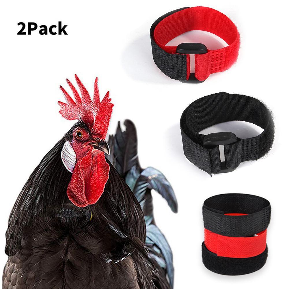 No-Crow Chicken Collar Rooster Collar Adjustable Fowl Neckband Noise Free Poultry Collar