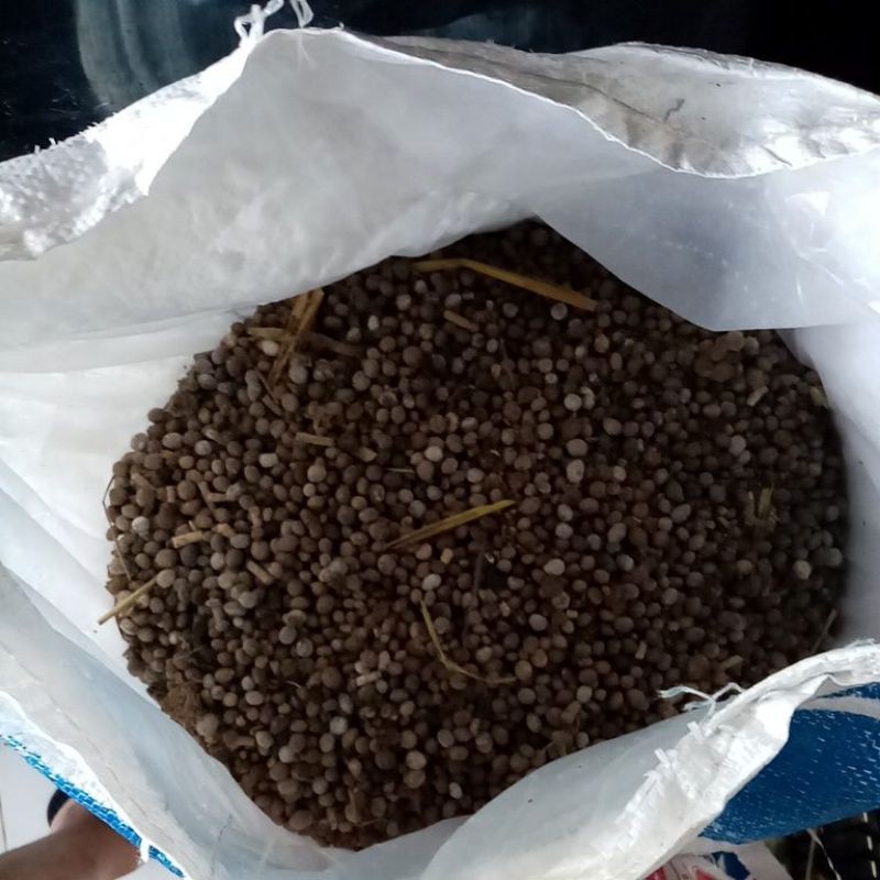 Rabbit Poop Organic Fertilizer (500 grams) Shopee Philippines