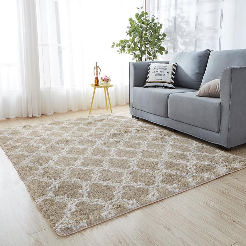 120x80cm Soft Carpet Fluffy Floor Rug, Living Room Rugs 5×7