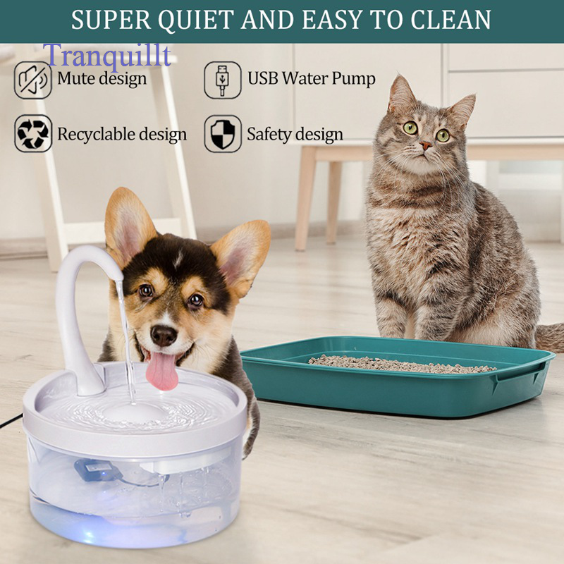 dog it design water fountain