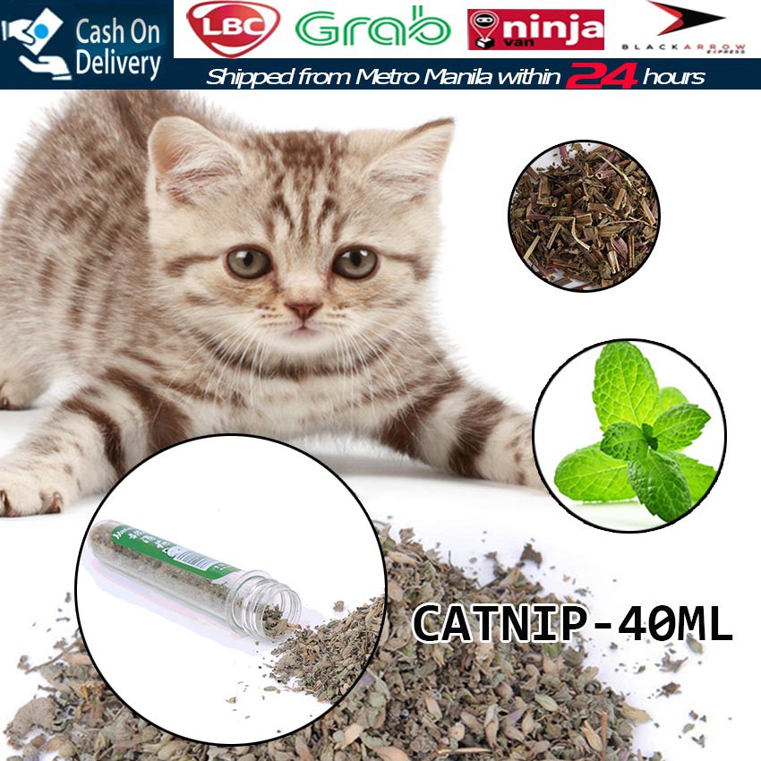 40ml Pet Test Tube Packed Catnip Powder Dry Leaf Cat Mint Sugar Enhancing Cat Mint Powder