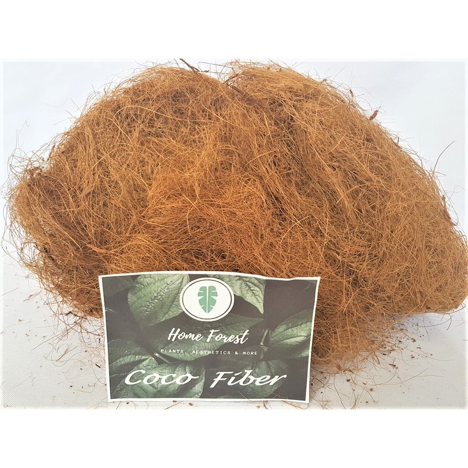 Natural/ Organic Coconut Husk Fiber 250 Grams per Pack Shopee Philippines