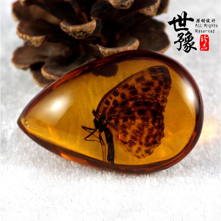 Necklace Accessories Amber Butterfly Specimen Resin Pendant Insect Stone