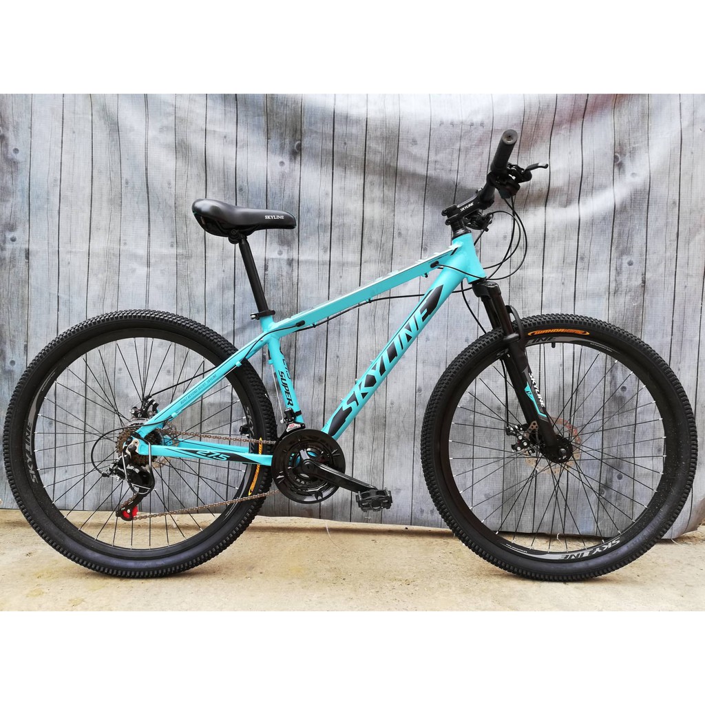 skyline mountain bike price