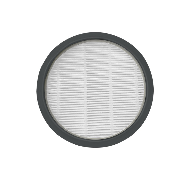 Hepa Filter For Rowenta Zr904301 Ro2981 Swift Power Cyclonic Cleaner 安い購入