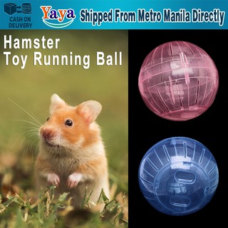 【Fast Delivery】10/12cm Pet Running Ball Breathable Clear Ball Without Bracket Hamster Plastic Ground