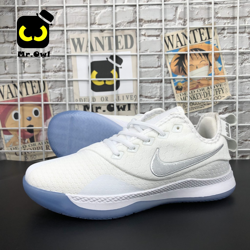 lebron zoom shoes