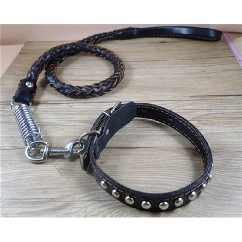 rope dog collar and leash