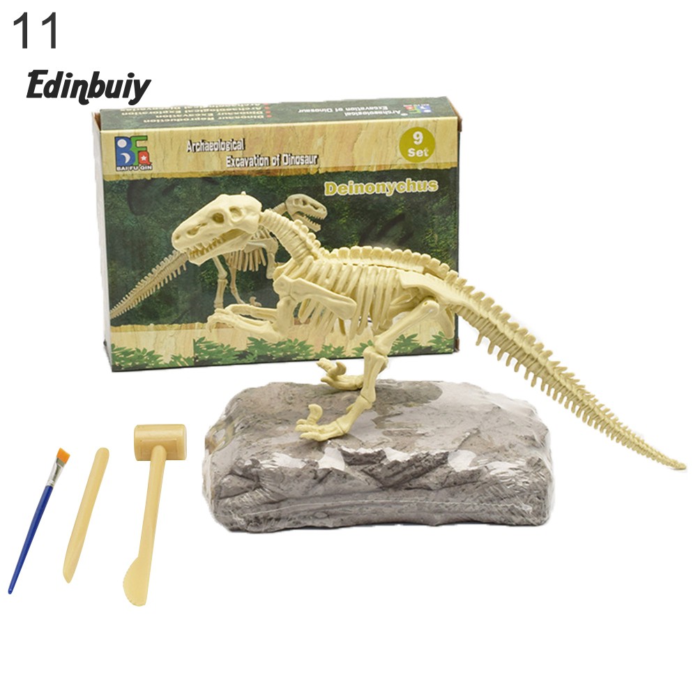 kids fossil kit
