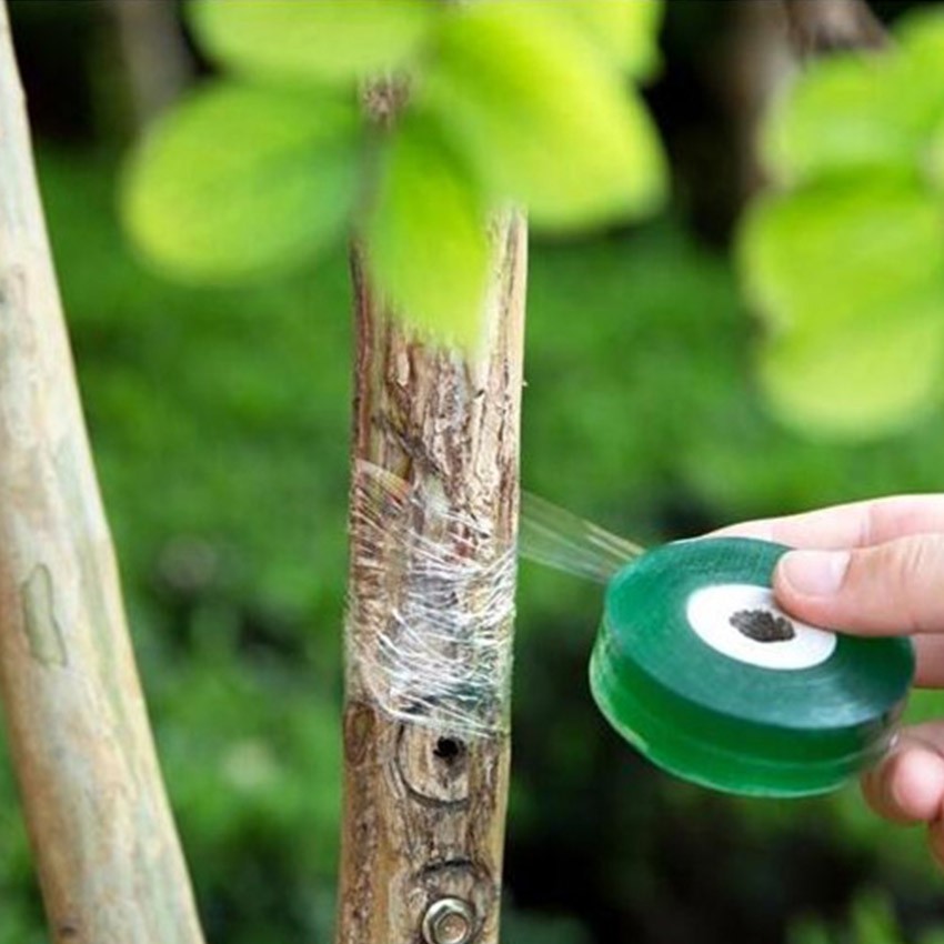 Grafting Film Roll Tape Parafilm Pruning Strecth Graft Budding Garden