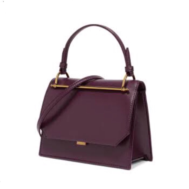 charles and keith burgundy bag