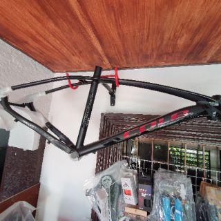 cole brontes frame