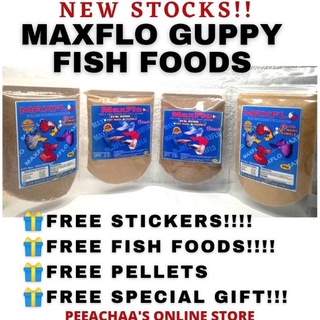 【Ready Stock】❐Maxflo guppy fish food crumble and fry mash With freebies 10+3freebies direct supplier
