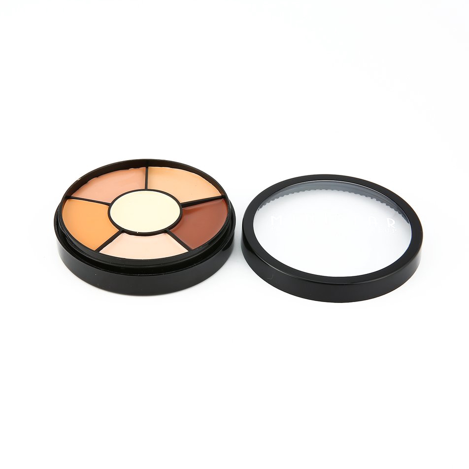 best professional concealer palette