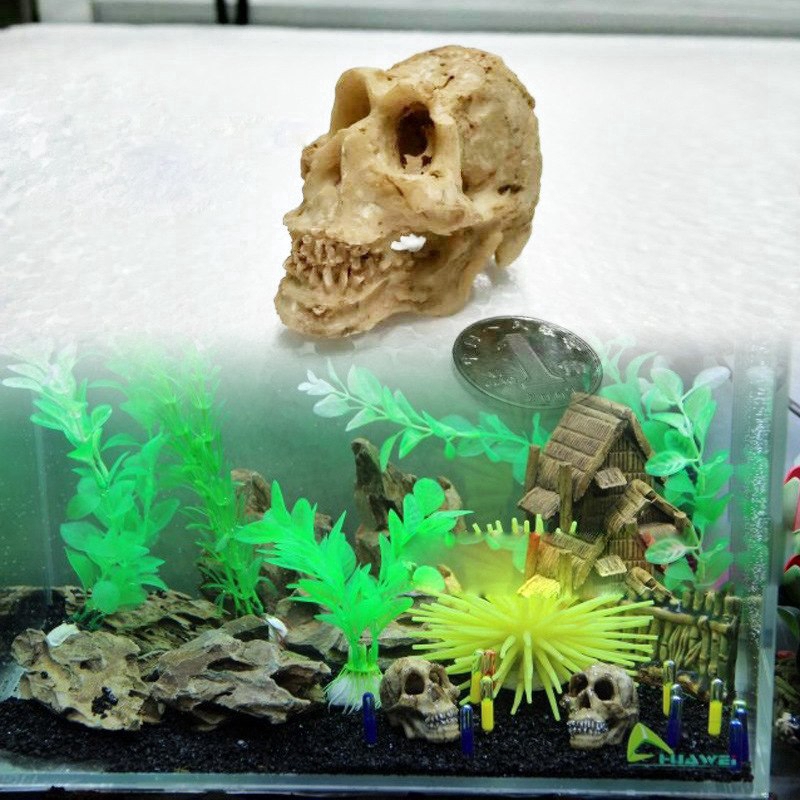 Reptile Rhino Resin Skull Aquarium Terrarium Decor Fish Tank