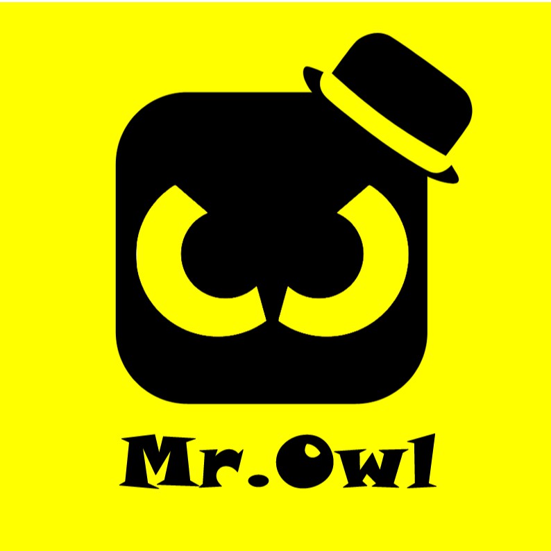 Mr.Owl store logo