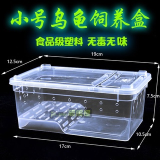 ✺┋✺Reptile rearing box crawling pet silkworm baby spider horned frog lizard hermit crab turtle tank